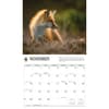 image WWF Foxes 2027 Wall Calendar Fourth Alternate Image