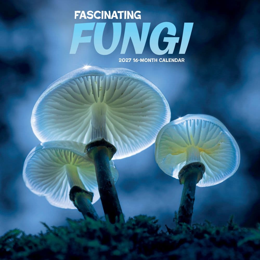 Fascinating Fungi 2027 Wall Calendar Main Product Image