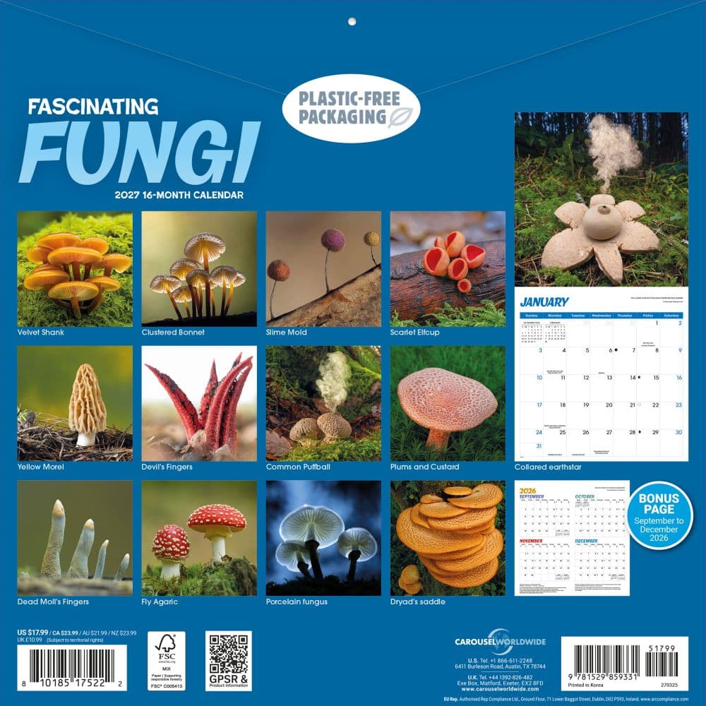 Fascinating Fungi 2027 Wall Calendar First Alternate Image