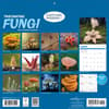 image Fascinating Fungi 2027 Wall Calendar First Alternate Image