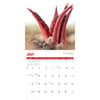 image Fascinating Fungi 2027 Wall Calendar Third Alternate Image