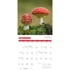 image Fascinating Fungi 2027 Wall Calendar Fourth Alternate Image