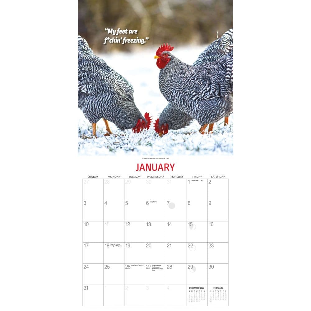 Extremely Fowl 2027 Wall Calendar Second Alternate Image