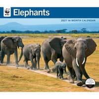 image WWF Elephants 2027 Wall Calendar Main Product Image