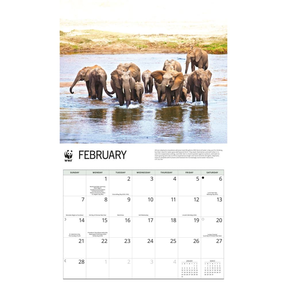 WWF Elephants 2027 Wall Calendar Second Alternate Image