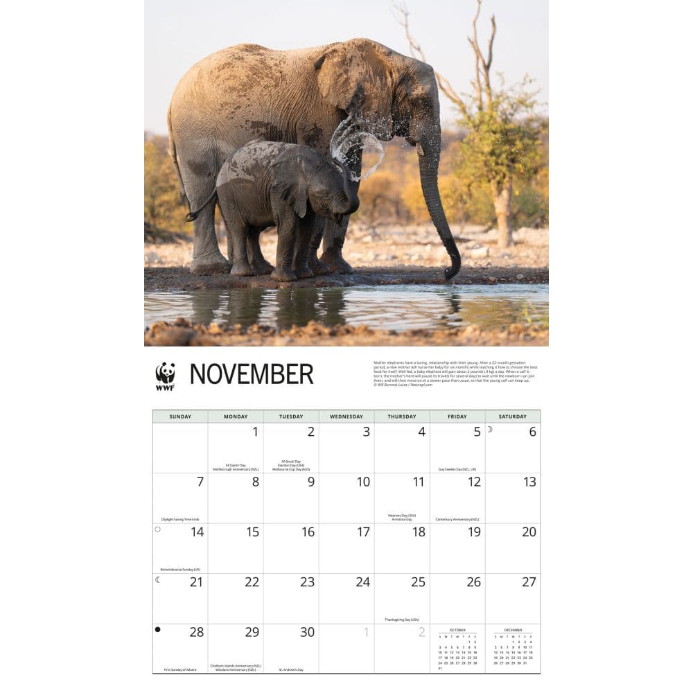 WWF Elephants 2027 Wall Calendar Fourth Alternate Image