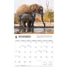 image WWF Elephants 2027 Wall Calendar Fourth Alternate Image