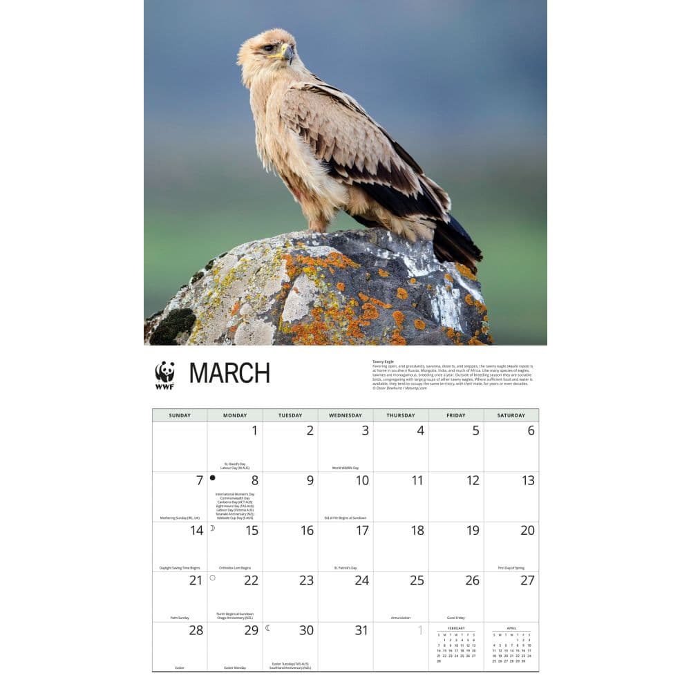 WWF Eagles 2027 Wall Calendar Second Alternate Image