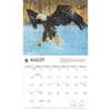 image WWF Eagles 2027 Wall Calendar Third Alternate Image