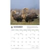 image WWF Eagles 2027 Wall Calendar Fourth Alternate Image