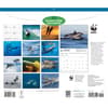 image WWF Dolphins 2027 Wall Calendar First Alternate Image
