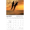 image WWF Dolphins 2027 Wall Calendar Second Alternate Image