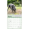 image Dog is Good Fur Covered Wisdom 2027 Wall Calendar Second Alternate Image