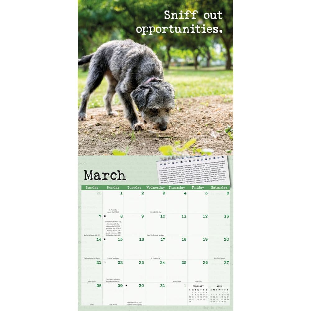 Dog is Good Fur Covered Wisdom 2027 Wall Calendar Second Alternate Image