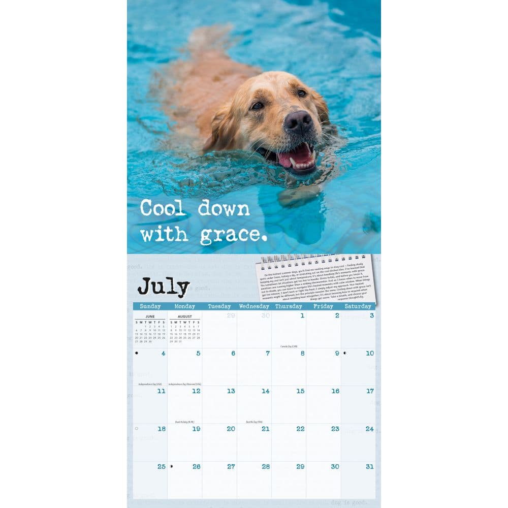 Dog is Good Fur Covered Wisdom 2027 Wall Calendar Third Alternate Image