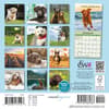 image Dog is Good Fur Covered Wisdom 2027 Mini Wall Calendar First Alternate Image