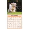 image Dog is Good Fur Covered Wisdom 2027 Mini Wall Calendar Second Alternate Image