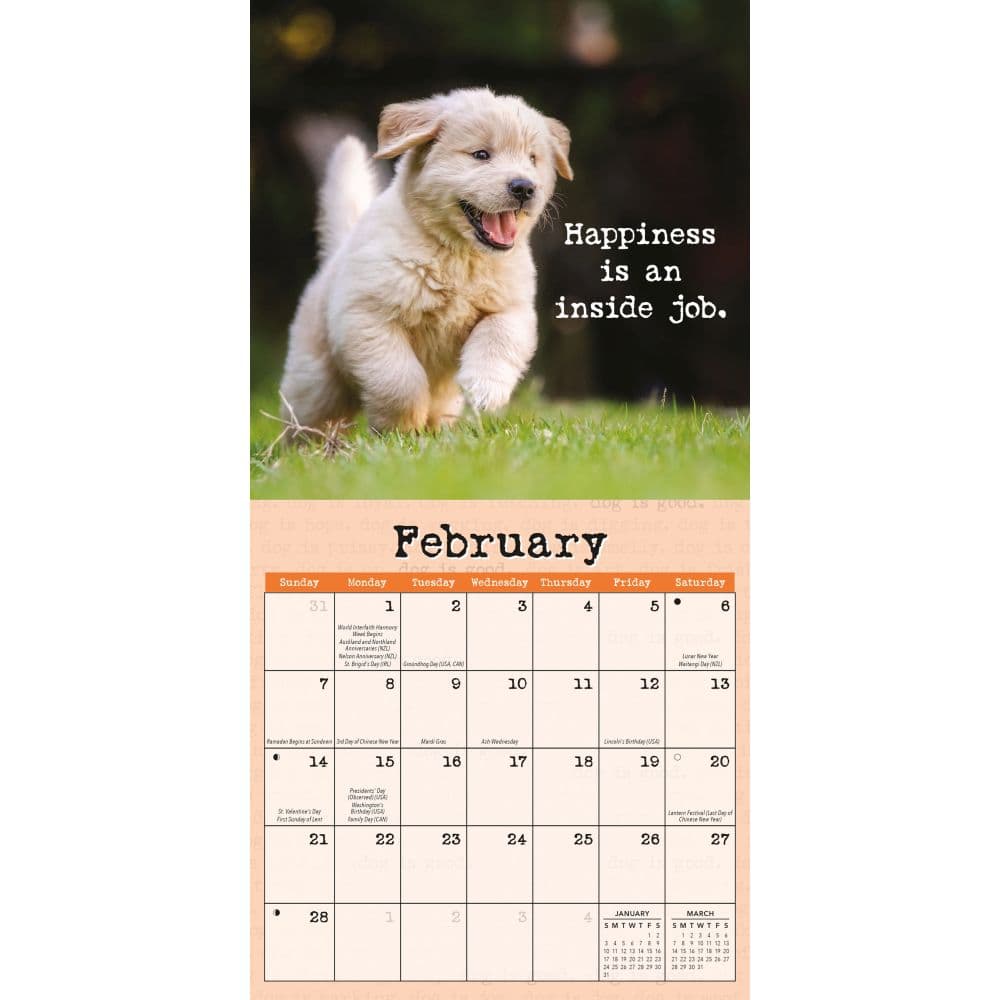 Dog is Good Fur Covered Wisdom 2027 Mini Wall Calendar Second Alternate Image