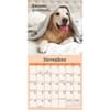 image Dog is Good Fur Covered Wisdom 2027 Mini Wall Calendar Fourth Alternate Image