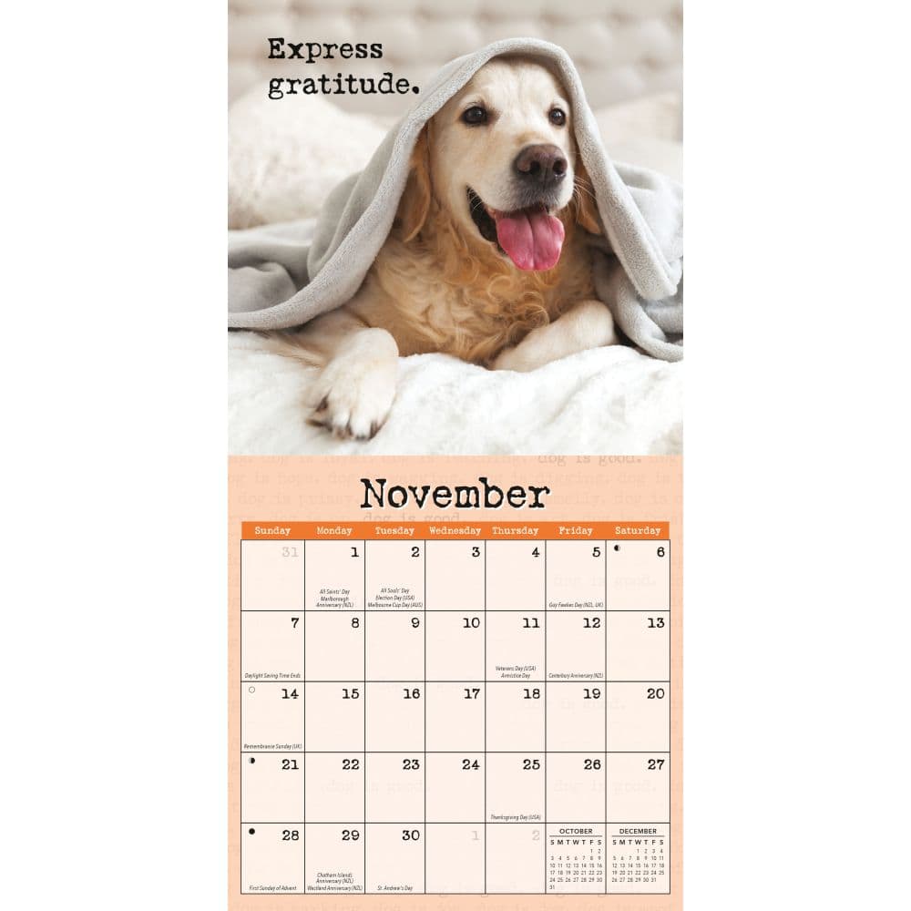 Dog is Good Fur Covered Wisdom 2027 Mini Wall Calendar Fourth Alternate Image
