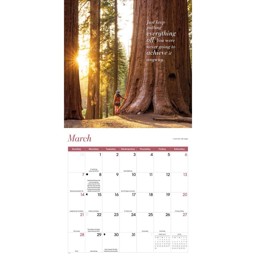 Demotivation 2027 Wall Calendar Second Alternate Image