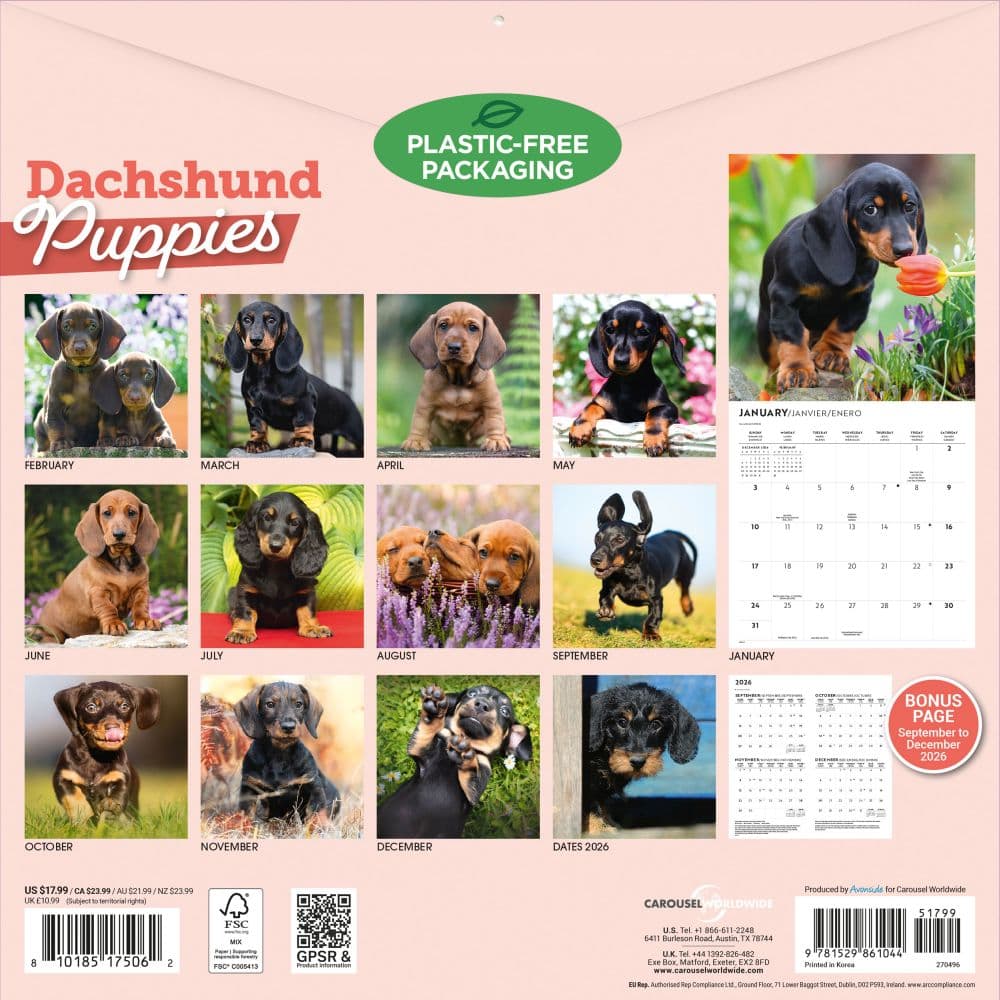 Dachshund Puppies 2027 Wall Calendar First Alternate Image