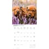 image Dachshund Puppies 2027 Wall Calendar Third Alternate Image