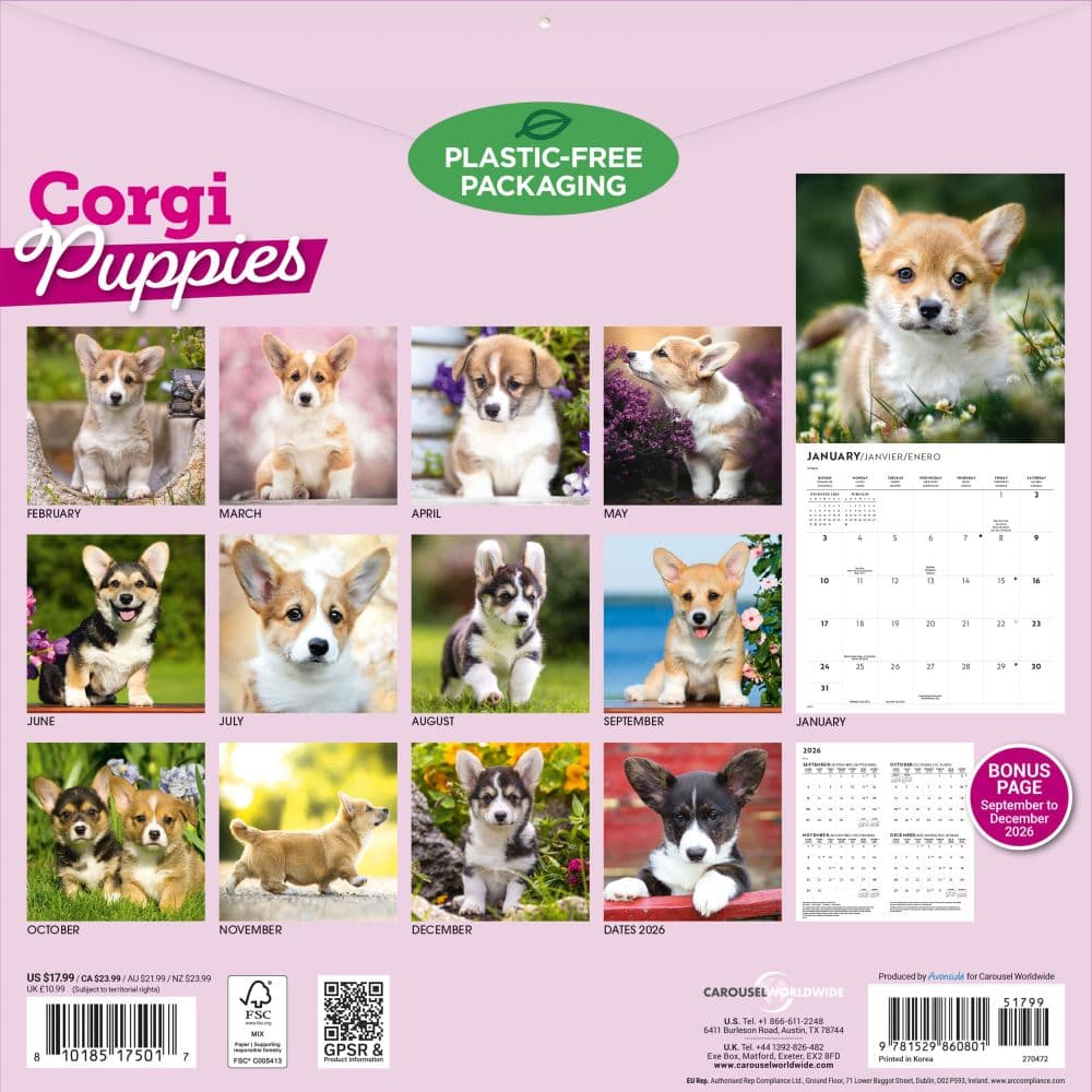 Corgi Puppies 2027 Wall Calendar First Alternate Image