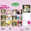 image Corgi Puppies 2027 Wall Calendar First Alternate Image