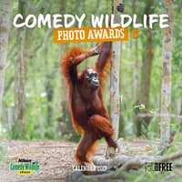 image Comedy Wildlife Photography Awards Wall 2027 Wall Calendar Main Product Image