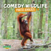image Comedy Wildlife Photography Awards Wall 2027 Wall Calendar Main Product Image