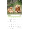 image Comedy Wildlife Photography Awards Wall 2027 Wall Calendar Second Alternate Image