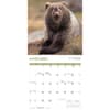 image Comedy Wildlife Photography Awards Wall 2027 Wall Calendar Fourth Alternate Image
