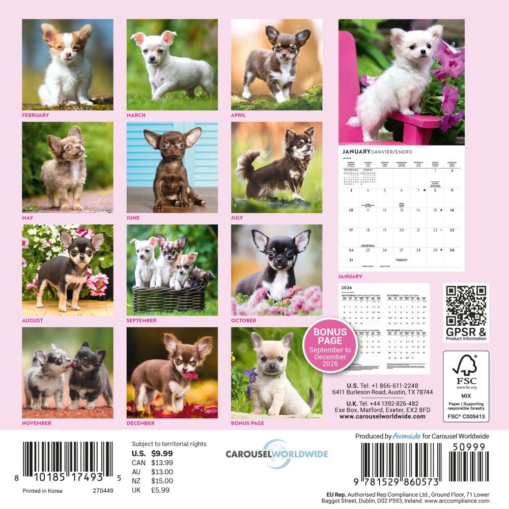 Chihuahua Puppies 2027 Mini Wall Calendar First Alternate Image