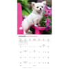 image Chihuahua Puppies 2027 Mini Wall Calendar Second Alternate Image