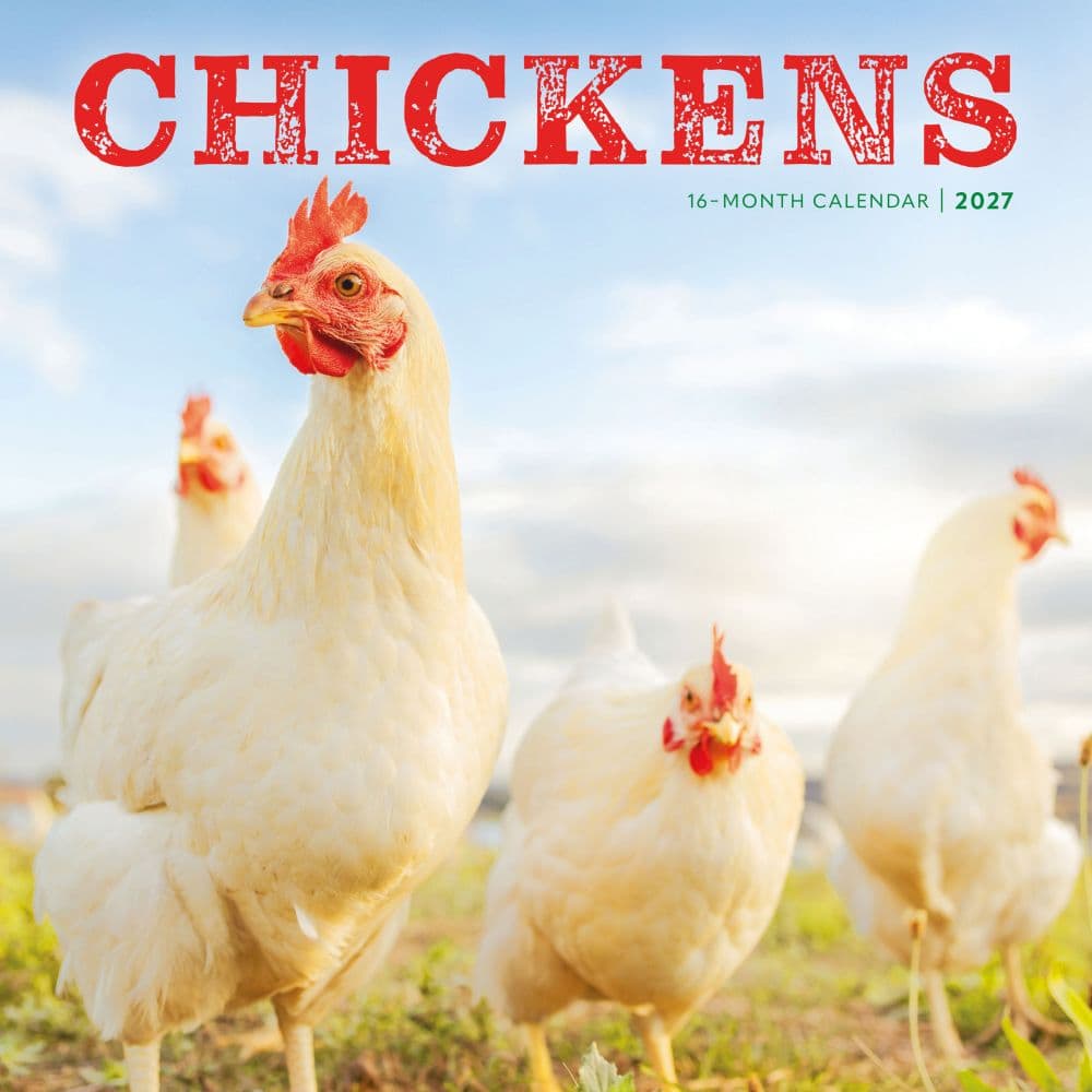 Chickens 2027 Wall Calendar Main Product Image