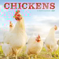 image Chickens 2027 Wall Calendar Main Product Image