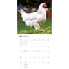image Chickens 2027 Wall Calendar Third Alternate Image