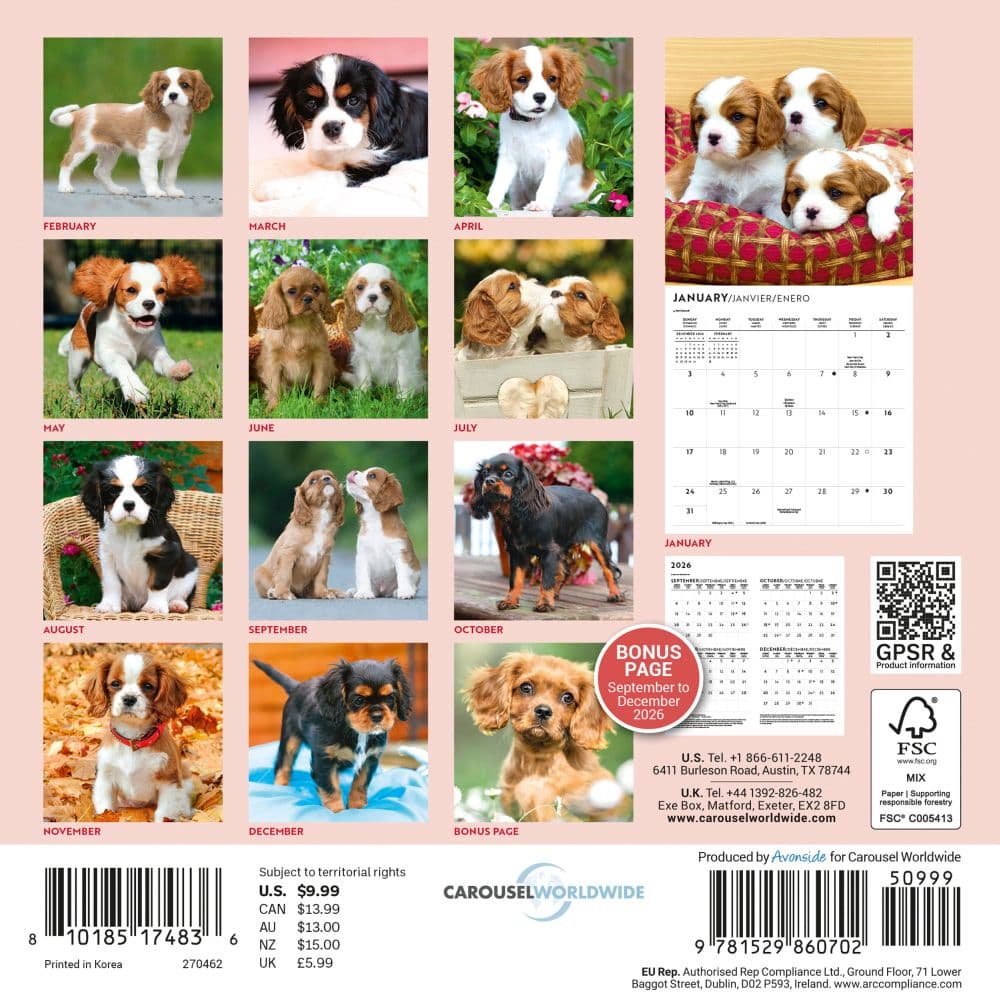 Cavalier King Charles Puppies 2027 Mini Wall Calendar First Alternate Image