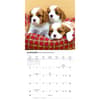 image Cavalier King Charles Puppies 2027 Mini Wall Calendar Second Alternate Image