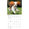 image Cavalier King Charles Puppies 2027 Mini Wall Calendar Third Alternate Image