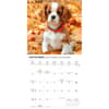 image Cavalier King Charles Puppies 2027 Mini Wall Calendar Fourth Alternate Image