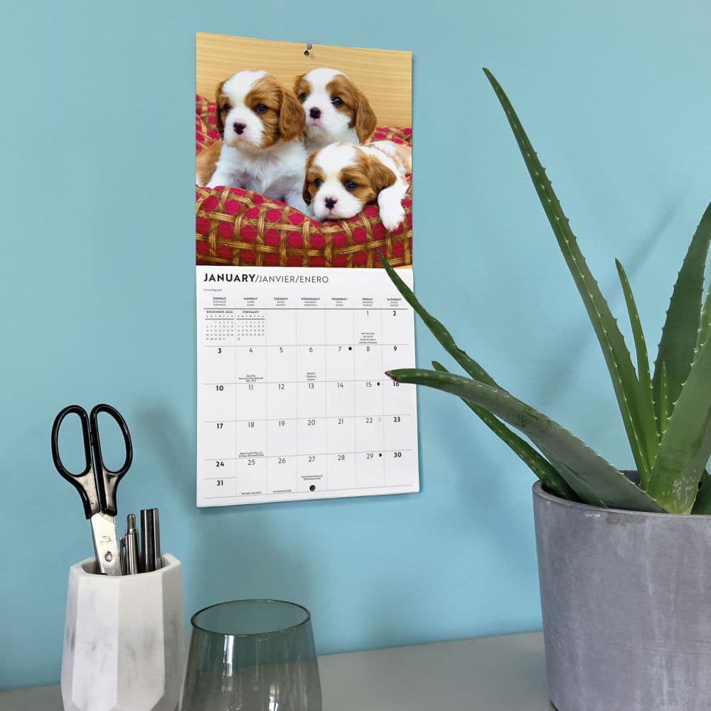 Cavalier King Charles Puppies 2027 Mini Wall Calendar Fifth Alternate Image