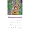 image Cats 2027 Wall Calendar Second Alternate Image