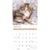 image Cats 2027 Wall Calendar Third Alternate Image