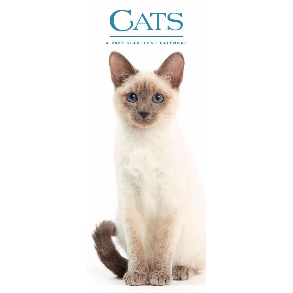 Cats 2027 Vertical Wall Calendar Main Product Image