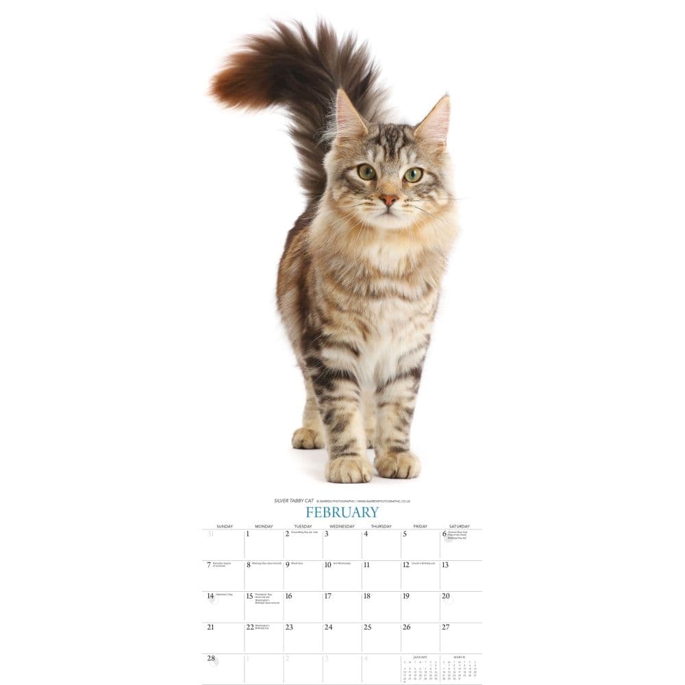 Cats 2027 Vertical Wall Calendar Second Alternate Image