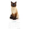 image Cats 2027 Vertical Wall Calendar Fourth Alternate Image