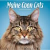 image Maine Coon Cats 2027 Wall Calendar Main Product Image