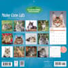 image Maine Coon Cats 2027 Wall Calendar First Alternate Image
